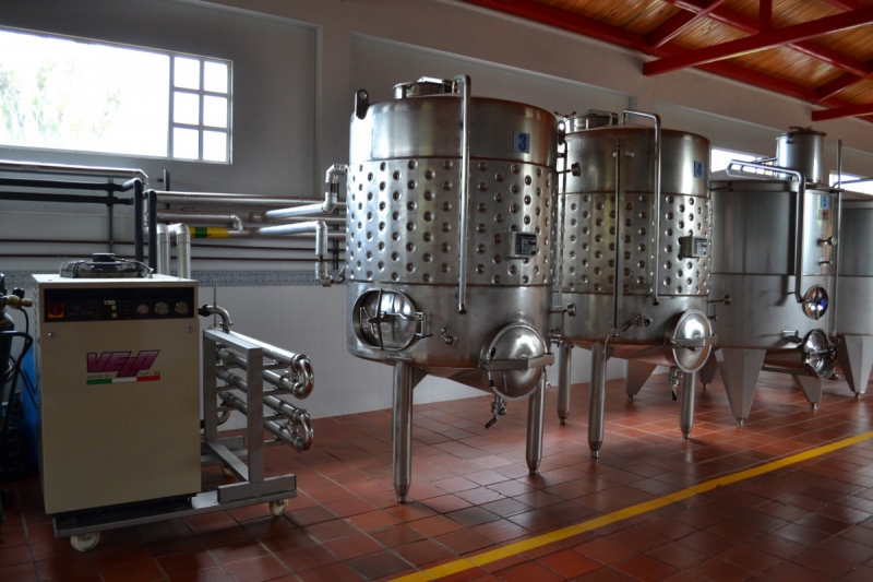 cave-CUEBRIS-min_wine_production_cantine_winery_drink_alcohol_vine_beverage-902036